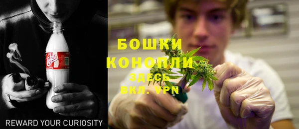 дурь Надым