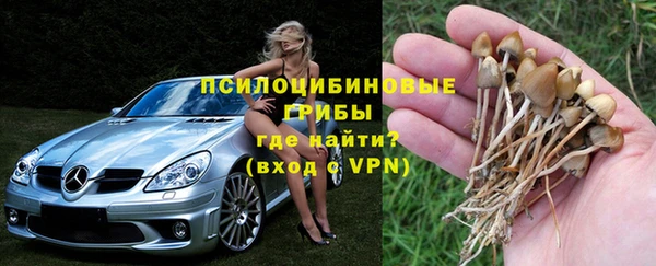 дживик Михайловка