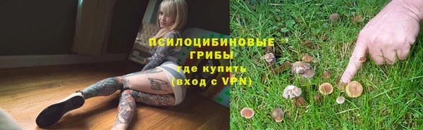 дживик Михайловка