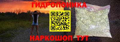 индика Донецк