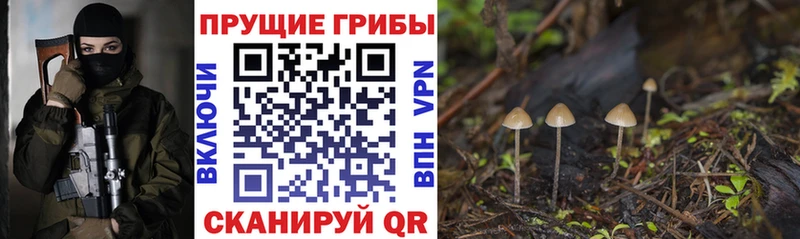 магазин продажи Касимов Псилоцибиновые грибы GOLDEN TEACHER