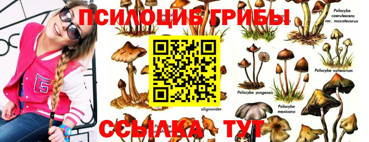 Псилоцибиновые грибы Psilocybe  Вход с VPN  Псилоцибиновые грибы мухоморы  Касимов 