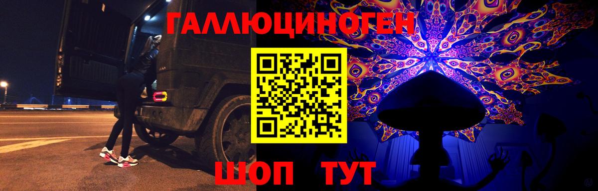 хочу наркоту  Касимов  Псилоцибиновые грибы прущие грибы  Галлюциногенные грибы мухоморы 